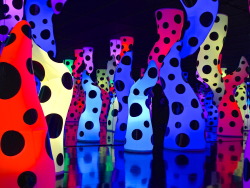 xxmaplexx:  All you need is love. Kusama