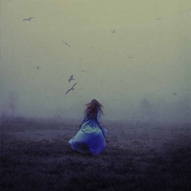 chocolatetart:  Brooke Shaden