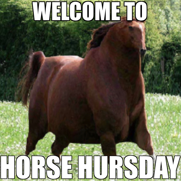 XXX horse-is-a-horse-of-course:natalieironside:horse-is-a-horse-of-course:horse-is-a-horse-of-course:hi photo