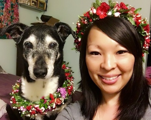 Hi guys! Sorry I’ve been MIA. Had my Grandma’s funeral a couple of days ago… My dog, Dozer & I, 