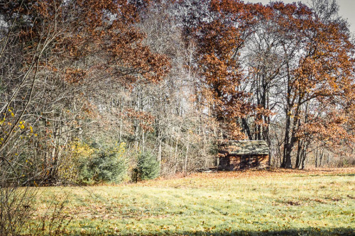 theseasonedeye:Cabin Near the Woods