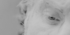 sansastlark:  Get To Know Me Meme - [2/10] Favorite Tv Shows“ Hey I know it’s been a while. I’m gonna be honest, I forgot about you. After the farm, we were always moving, but something happened. Something good. We found a prison. Daddy thinks