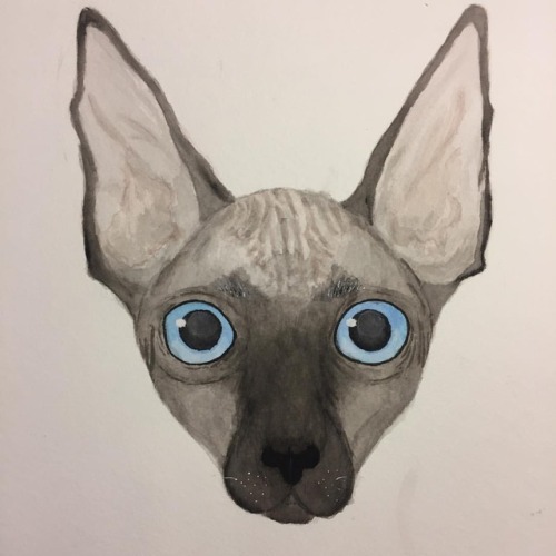 #progressshot #painting #watercolor #watercolorpainting