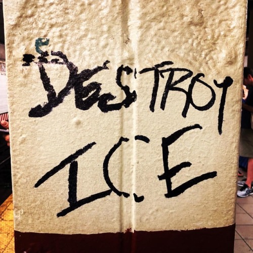 DESTROY ICE #subway #manhattan #brooklyn #bk #nyc #graffiti #politicalanimals (at Brooklyn, New York