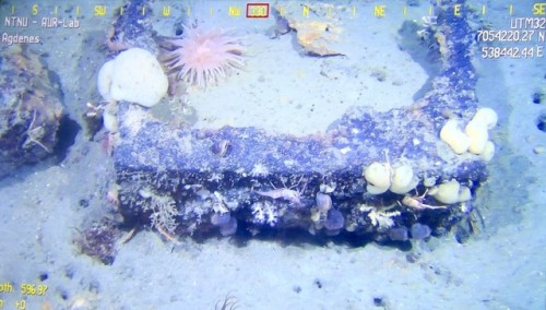 Pink anemones, white cauliflower coral and squat lobsters adorn an abandoned munitions box and bus, 