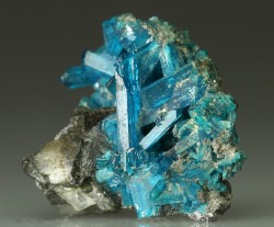 bijoux-et-mineraux:  Caledonite - Susanna