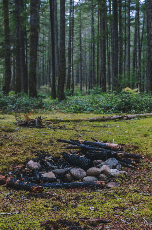 Mossy Campfire