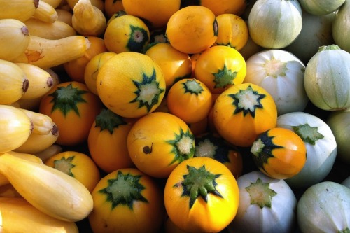 Squash, Burke Centre Farmers Market, 2012.Next week shall go to try to find the ingredients for rata