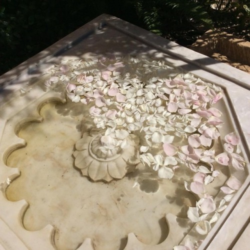 stonehouseartifacts:Marble fountain. With rose petals. #stonehouseartifacts #marble #fountain #lands