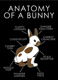artworktee:  Get your own shirt with this design here: https://artworktee.com/products/anatomy-of-a-bunnyDo any of you own pet rabbits? I want one, they’re so cute! Awesome suggestions, I wish I could use them all!–Artist: Zillion