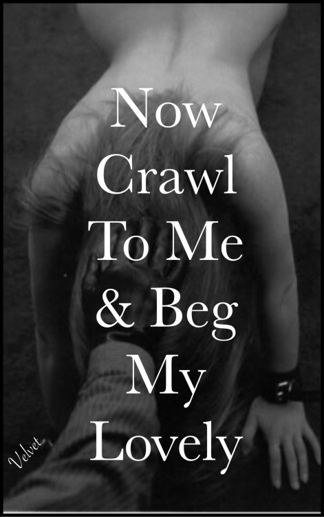 mistressvelvetmusings: Now, crawl and beg…..