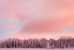 Softwaring:  Keefer Lake, We Had An Unbelievable Sunrise, The Colors Kept Changing