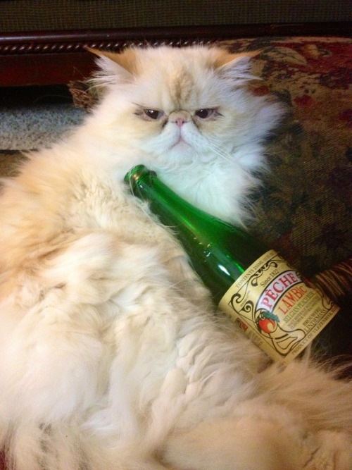 lucifurfluffypants: Stay thirsty, my furriends.