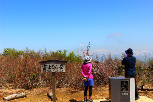 20180428（土）昨年のシャクナゲ繚乱が見たくて、今年も火燈山（ひともしやま）から富士写ヶ岳（ふじしゃがだけ）を縦走した。（登山口から登山口まで9：00から14：19、5時間19分、食事はバナナと