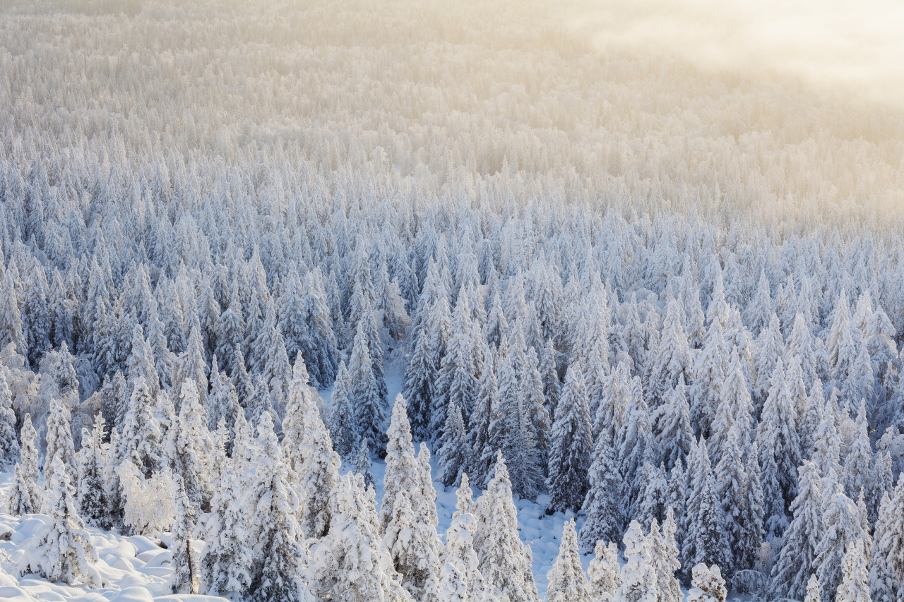 expressions-of-nature:Ural Mountains, Russia by Sergey Garifullin