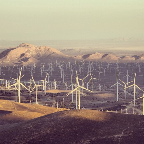 generalelectric: Another shot of the #wind farm in #Tehachapi, #California, home to #GE Power & 