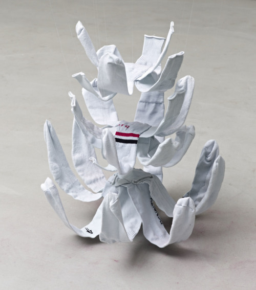 amalgammaray:Adriano Costa, Lotus, 2014