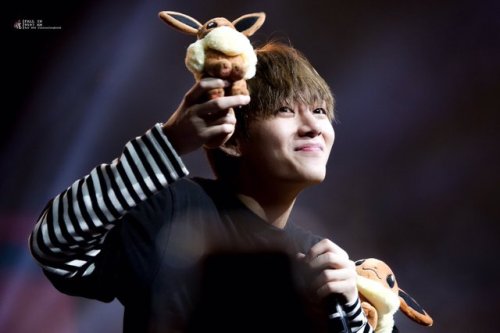 FALL IN 9597 KM | Do Not Edit.