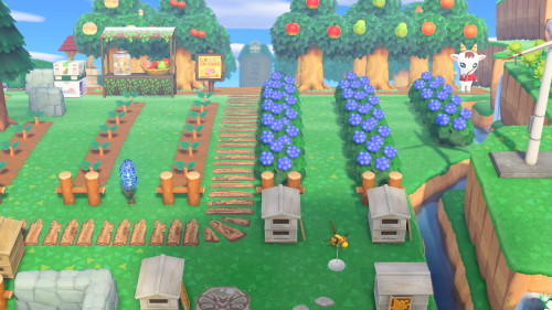 FroggyCove’s new farm part 2: the orchard, blueberry(left)/winterberry(right) fields and apiary