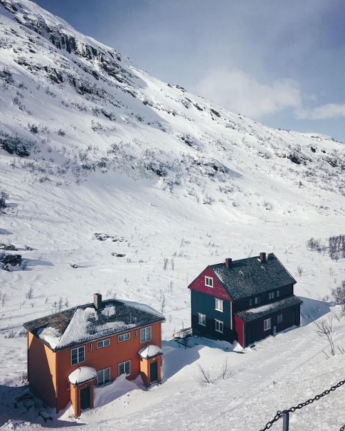 Nordic houses are just so cute!! This is Myrdal on the magnificent Flåm railway in Norway!•#vzcomood