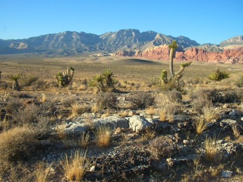 mypubliclands:Geology, Fossils and More“Scientists collect fossils all the time,” said Scott Foss, a