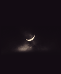 midnightinparis:  cheshire moon 