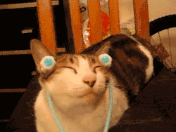 Catcats