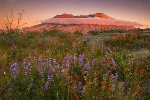 Mount Saint Helens by l_c_m_tt_ www.lucascometto.com