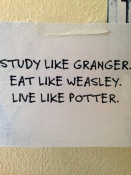 srsfunny:Harry Potter Characters Are Cool Role Modelshttp://srsfunny.tumblr.com/