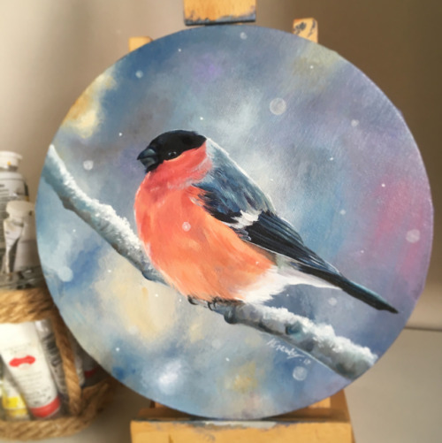 A lovely way to finish 2017! Completed my wintery bullfinch painting (oil on canvas). I wish everyon