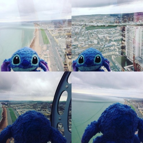 #stitch #travels #brighton #360view #beach #sea #cityview #skyline (at British Airways i360)