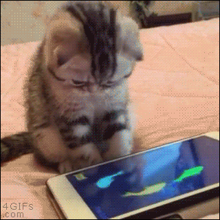 LittlePawz: awww, this is so precious. Just look at him using...