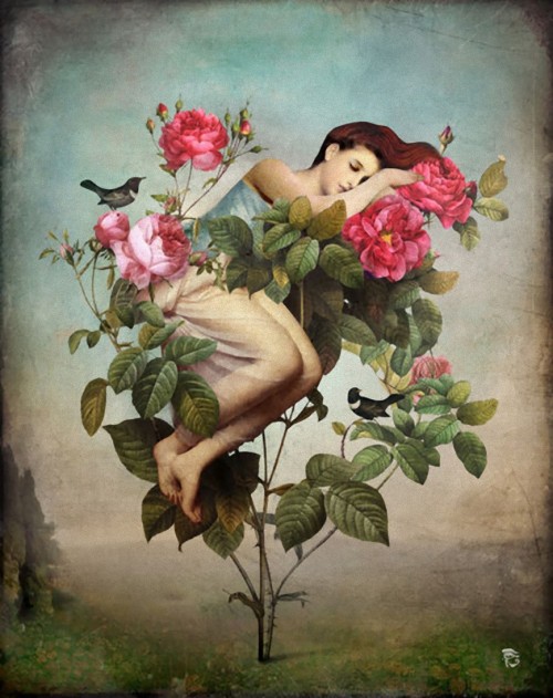 Christian Schloe