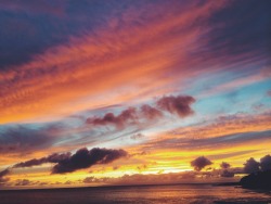 barrelbums:  And at the moment it looked as if the world was on fire. Instagram: _nahoni