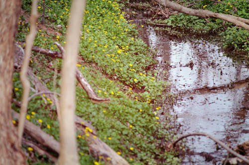 on the Perkiomen Trail