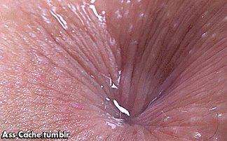 asiananus:  asscache:  http://asscache.tumblr.com/tagged/gif  Dive in mmm