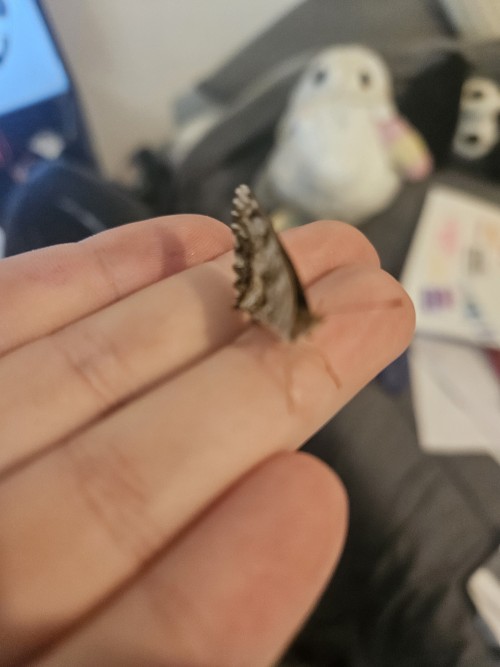 I Made A Friend :D