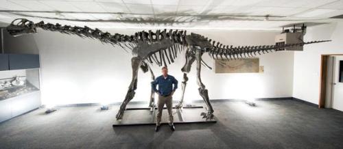 spacetimewithstuartgary: Researchers discover Moabosaurus in Utah’s ‘gold mine’ Mo