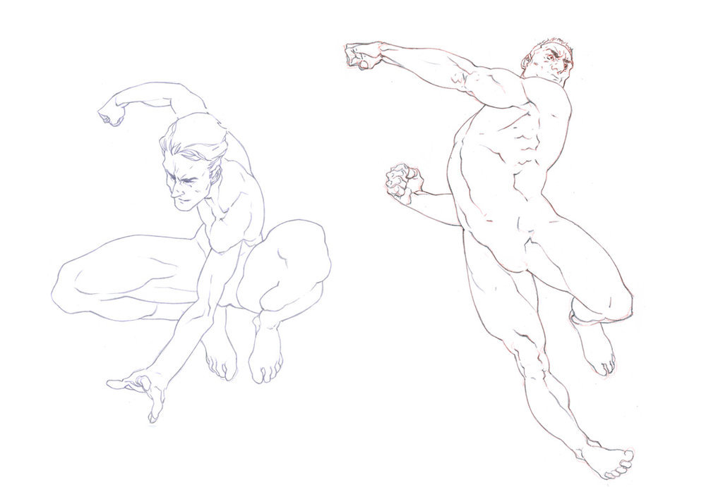 masters of anatomy tumblr masters of anatomy tumblr