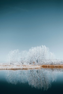ponderation:Cabin In The Cottonwoods by Sam