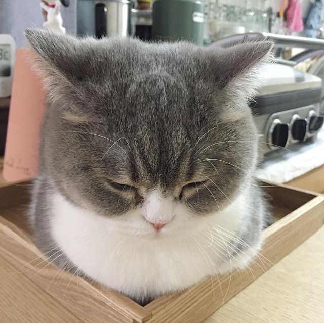 milkeu:  https://instagram.com/p/BEOQAXLDwOE/ 