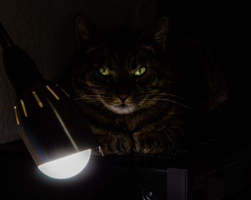 cutecornflakes:Your God will see you now