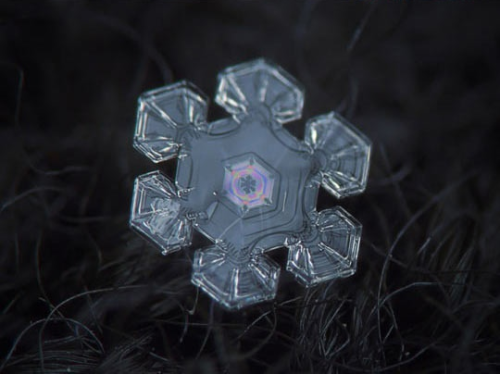 john-and-dave:  iraffiruse:  Homemade camera rig takes stunning close-up pictures of snowflakes  I swear snow is like some weird phenomena like aliens or something that shit is fucking art and you know it 