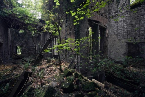 Buchanan Castleabandoned mansion in Scotland, built in 1855 and abandoned in 1954.(more photos here)