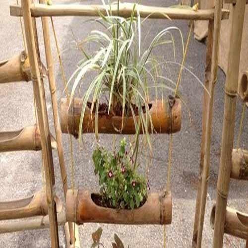 missolivialouise:I really like the idea of using bamboo for vertical growing or hydroponics systems,