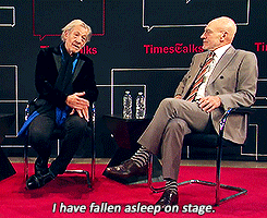 i-am-greg-lestrade: benedoodle-cumberpoodle: lotrlockedwhovian:   bofurs: THIS IS ADORABLE.  Reblogging again because it’s way too fantastic not to.  Protect Sir Ian at all costs. 