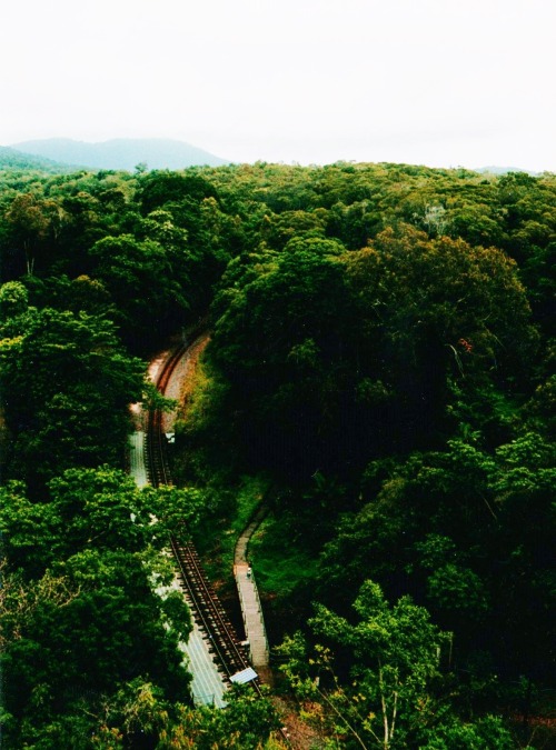 hmmmjustbecause: Train tracks