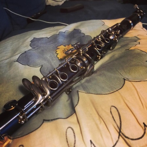 I’m so not into wedding planning that I just pulled out my clarinet after 12 years and now I wanna cry at my lost embouchure 😭😭😭 someone please give us a million dollars so I can just buy everything we need for the wedding and be done with it...