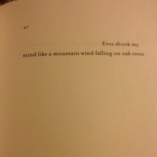 meowbitch1:sappho translated by anne carson