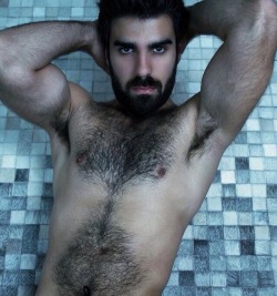 Follow my two hairy men blogs: http://sambrcln.tumblr.com